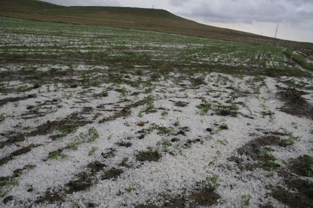 Yozgat&rsquo;ta Dolu Ekili Alanlara Zarar Verdi