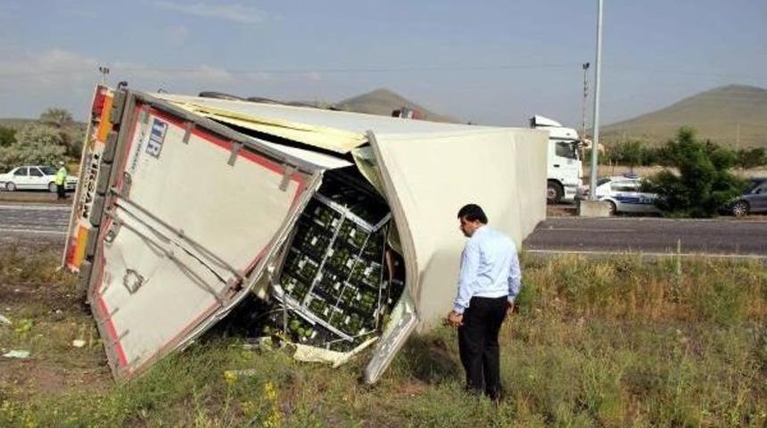 Biber Y&uuml;kl&uuml; Tır Devrildi