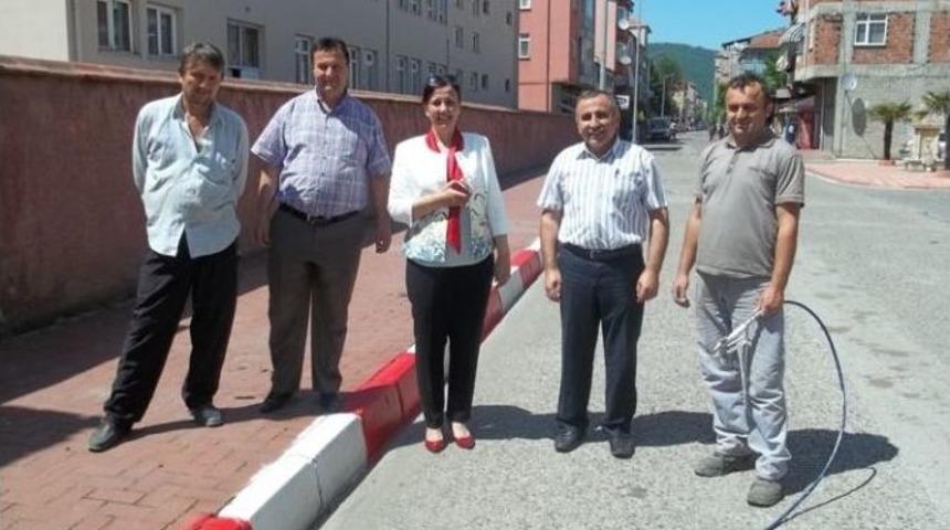 Saltukova&rsquo;da Bord&uuml;r Taşlarının Boyanmasına Başlandı