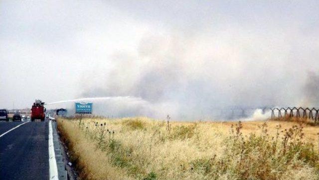 Nusaybin'in Suriye Sınırındaki Mayınlı Alanda Yangın Çıktı