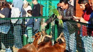 Giresun’da Hayvanat Bahçesi Yoğun İlgi Görüyor