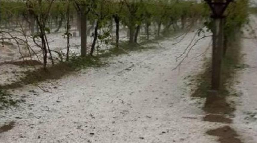 Bağları Yağmur Ve Dolu Vurdu