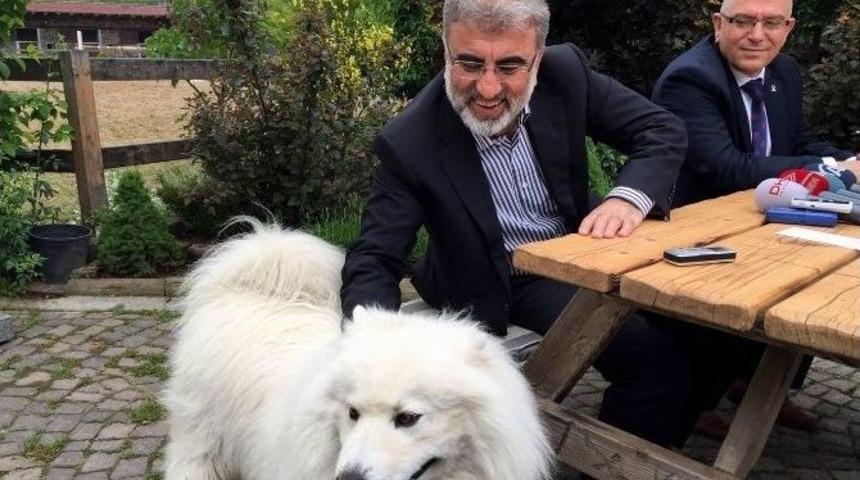 Enerji Ve Tabii Kaynaklar Bakanı Taner Yıldız: