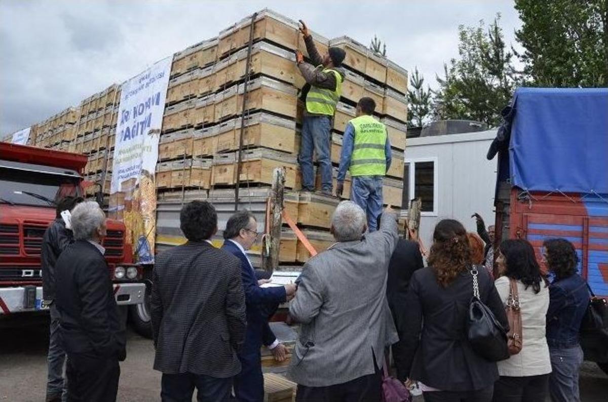 Ankara, Arıcılığın Da Başkent&rsquo;i Oluyor