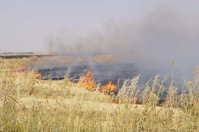 Ştb&rsquo;den Anız Yakan &Ccedil;ift&ccedil;ilere Uyarı 1