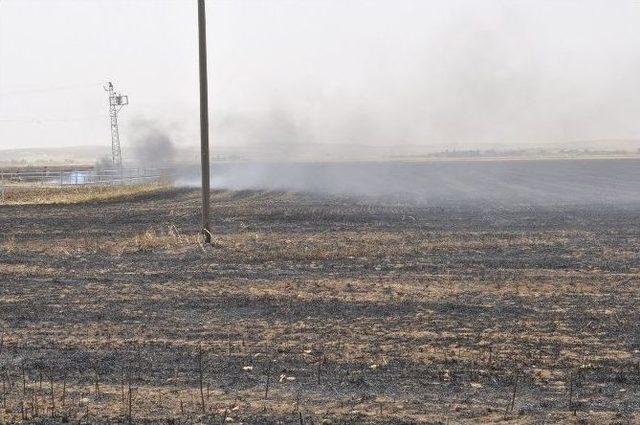 Ştb&rsquo;den Anız Yakan &Ccedil;ift&ccedil;ilere Uyarı 2