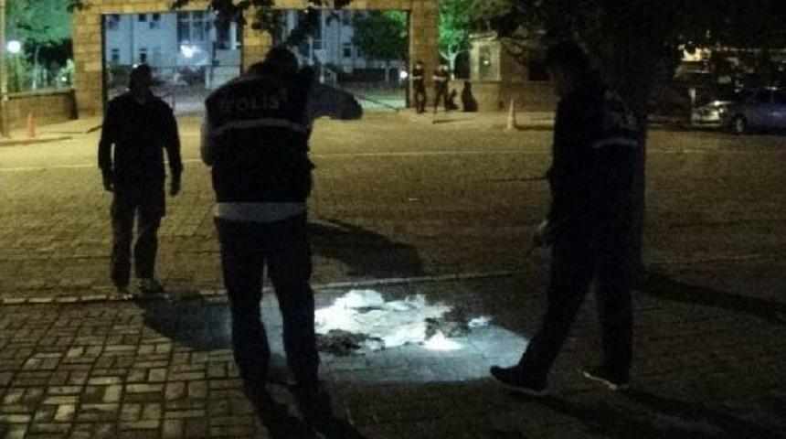 Iğdır'da Valilik &Ouml;n&uuml;ndeki Ş&uuml;pheli Poşetten Koyun Derisi &Ccedil;ıktı