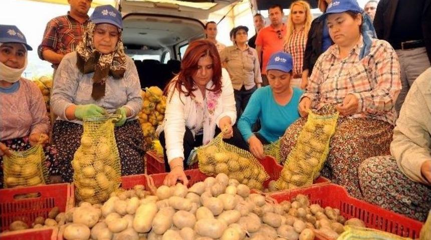 Aydın&rsquo;da &Uuml;reticininde Vatandaşında Y&uuml;z&uuml; G&uuml;l&uuml;yor