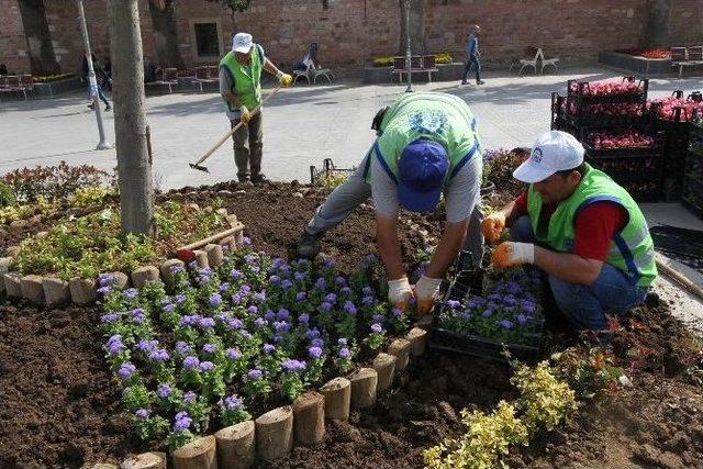 Gebze Kent Meydanı Rengarenk Çiçek Açtı