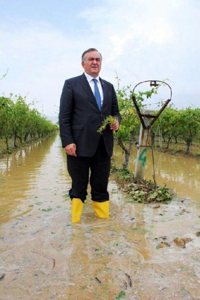 Bağları Yağmur Ve Dolu Vurdu (2) 2