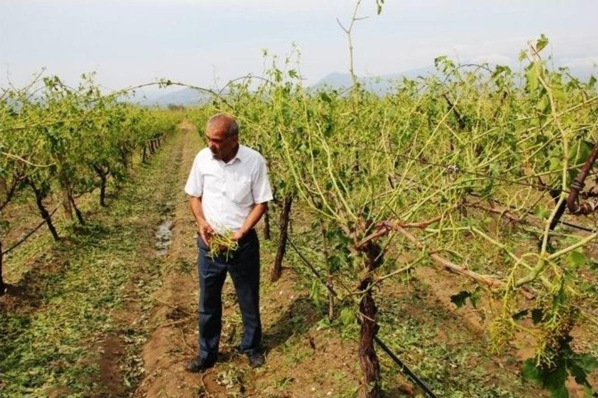 Sarıg&ouml;l Ziraat Odası Başkanı &Uuml;lgen: