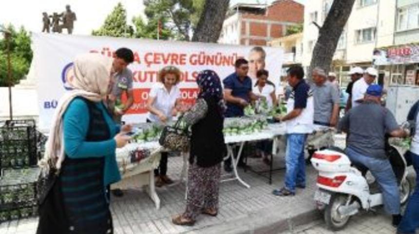 Denizli&rsquo;de 43 Bin Fesleğen Dağıtıldı