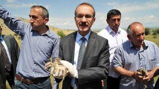 Uşak’ta Kınalı Keklikler Doğaya Bırakıldı