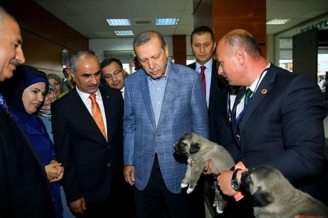 Cumhurbaşkanı Erdoğan&rsquo;a Yavru Kangal K&ouml;peği Hediye Edildi