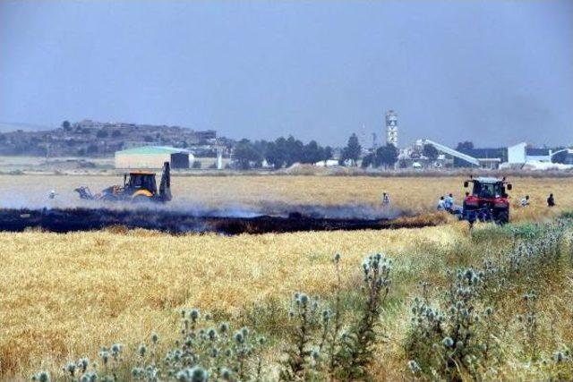 Buğday Tarlasındaki Yangını Söndürmek Için Seferber Oldular