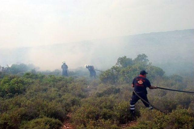 Didim’de 40 Dekar Makilik Alan Kül Oldu