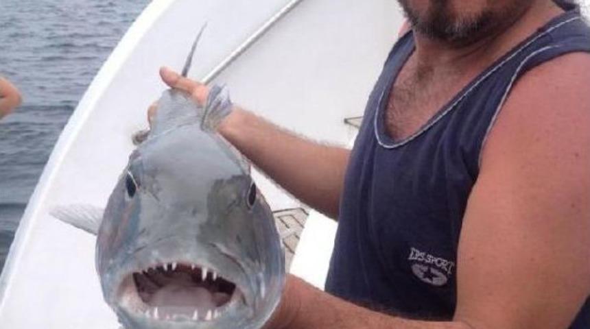 6 Kez Kalp Krizi Ge&ccedil;irdi