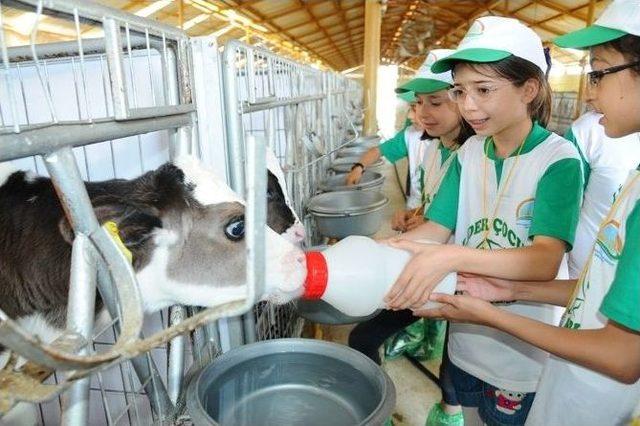 Lider Çocuk Tarım Kampı Sona Erdi