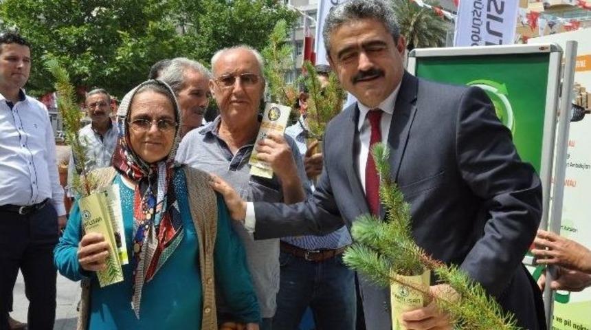 Başkan Alıcık, D&uuml;nya &Ccedil;evrecilik G&uuml;n&uuml;nde Fidan Dağıttı