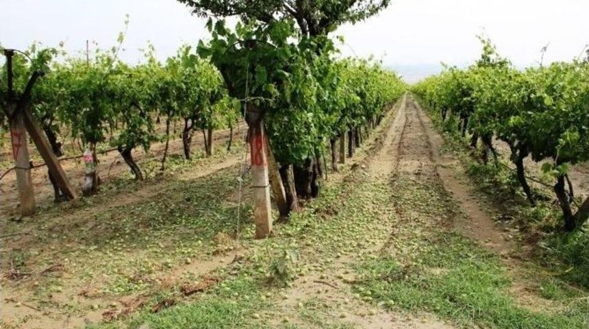 &Uuml;z&uuml;m-sen Genel Başkanı &Ccedil;obanoğlu&rsquo;ndan Dolu A&ccedil;ıklaması