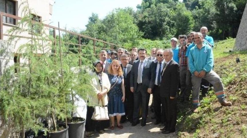 Ortahisar Belediyesi&rsquo;nden Fidan Dikme Kampanyası