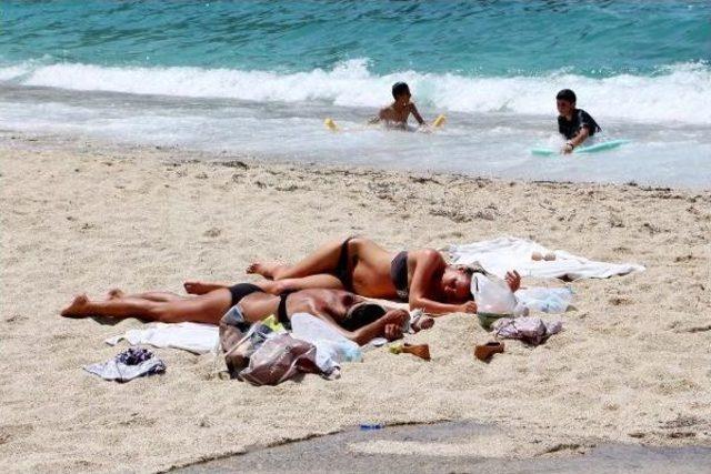 Alanya'da Mavi Bayraklı Plajda Kurtçuk Kaynıyor