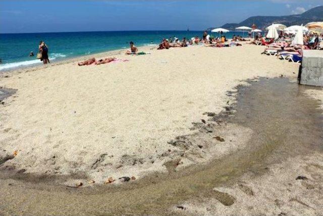 Alanya'da Mavi Bayraklı Plajda Kurtçuk Kaynıyor