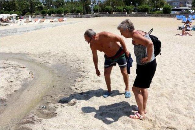 Alanya'da Mavi Bayraklı Plajda Kurtçuk Kaynıyor