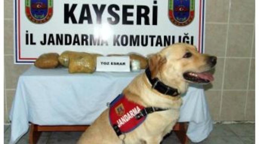Kayseri Jandarmadan Esrar Operasyonu
