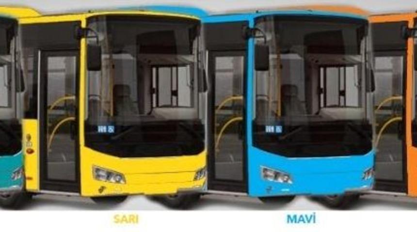Ankete Katıl Otob&uuml;slerin Rengini Belirle