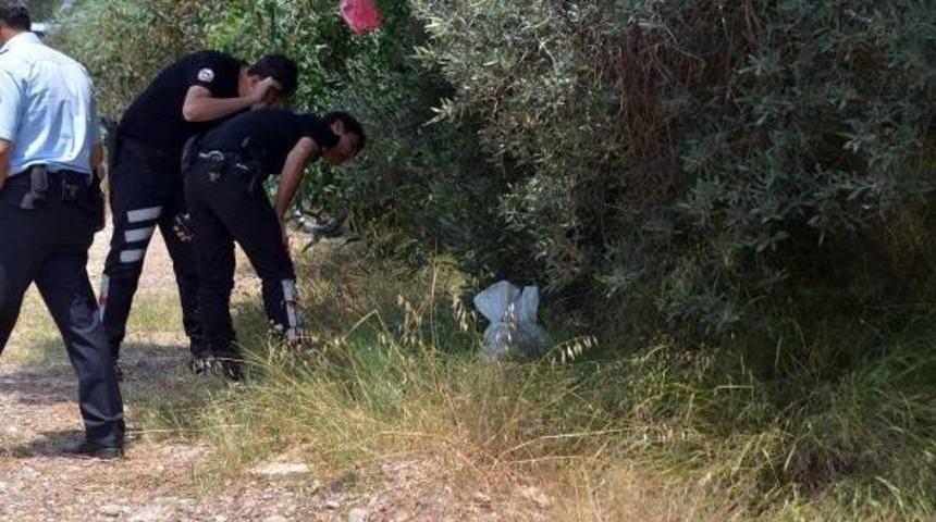 Ceset Bulunduğu Sanılan &Ccedil;uvaldan K&ouml;pek Leşi &Ccedil;ıktı