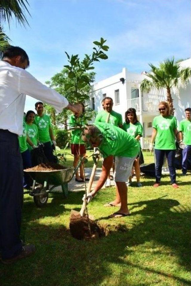 Bodrum’da 5 Haziran’da Fidanlar Dikildi, Çevre Temizliği Yapıldı 2