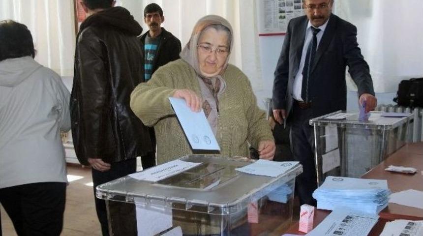 Edremit K&ouml;rfezi Se&ccedil;ime Hazır
