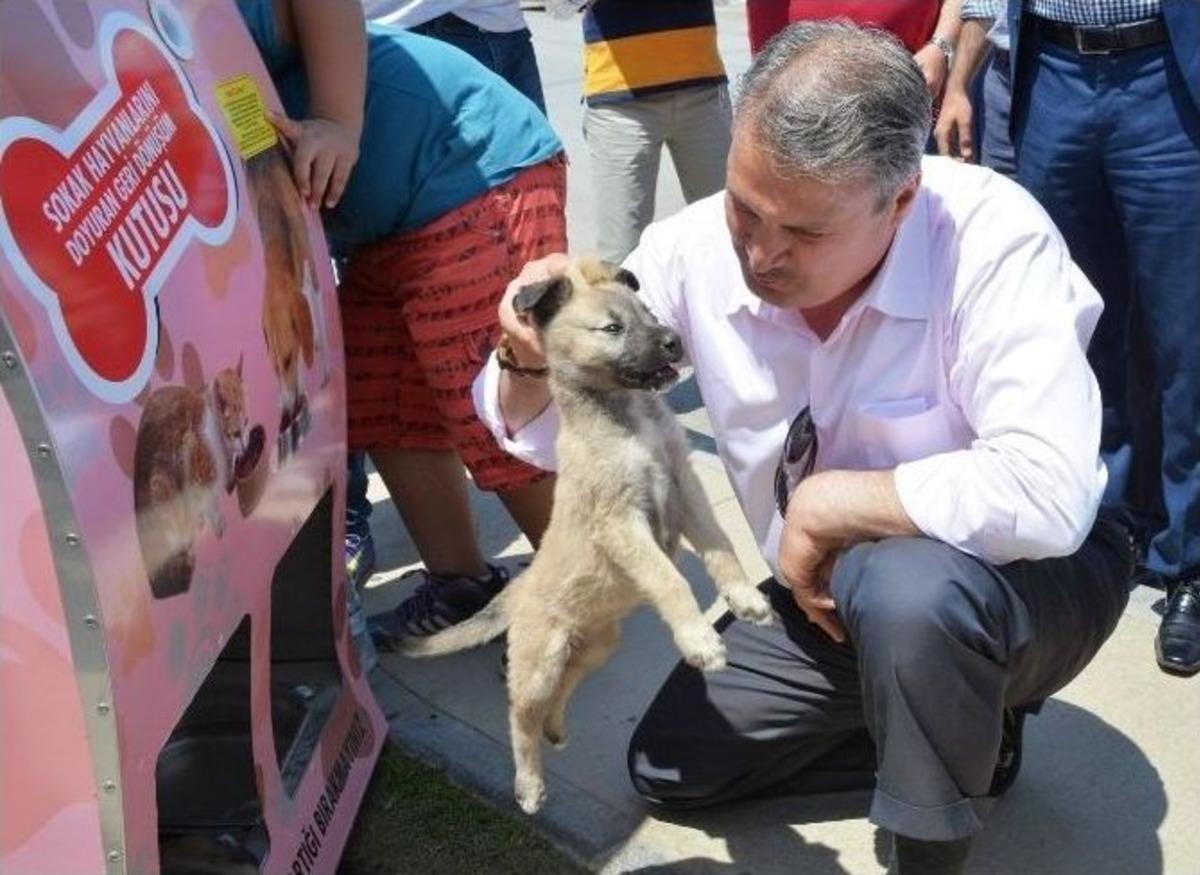 Yunusemre&rsquo;den &Ouml;rnek Bir &Ccedil;alışma