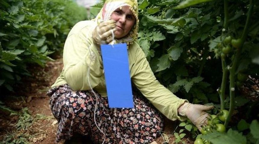 B&uuml;y&uuml;kşehir&rsquo;den &Ccedil;ift&ccedil;ilere Destek