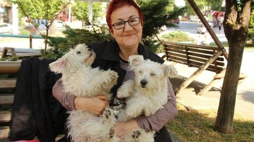 K&ouml;pek Sevgisi Evi Terk Ettirdi