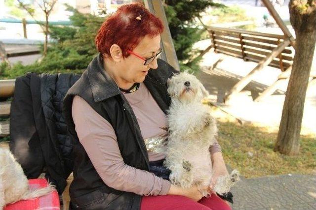 Köpek Sevgisi Evi Terk Ettirdi