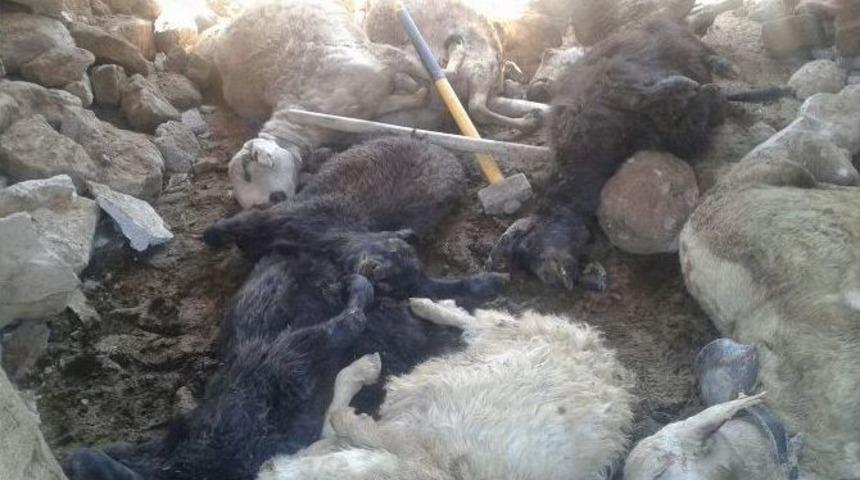 Kırşehir&rsquo;de Aşırığı Yağışlarda 19 Koyun Ve 9 Ke&ccedil;i Telef Oldu