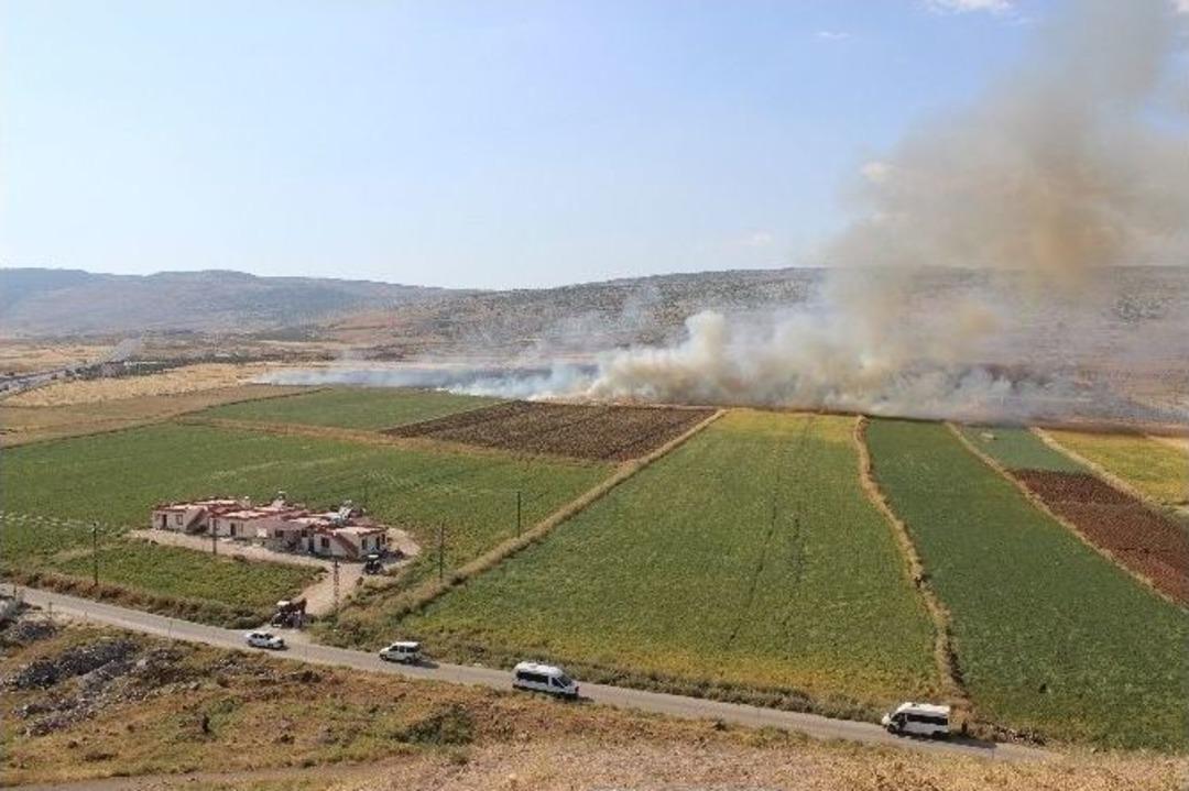 Gaziantep&rsquo;te 120 D&ouml;n&uuml;m Ekili Alan K&uuml;l Oldu