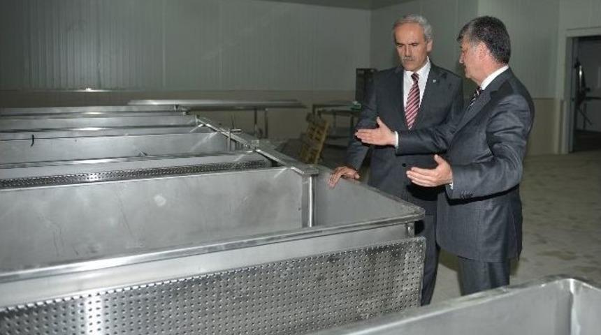 Besaş Beyaz Peynir Üretimine Başlıyor