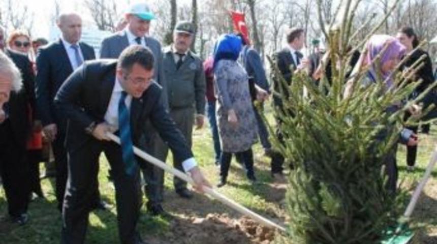 Keskin &ldquo;d&uuml;zce&rsquo;de 2019&rsquo;a Kadar 7 Bin 370 Fidan Toprakla Buluşacak&rdquo;