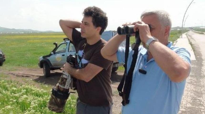 Kafkas &Uuml;niversitesi Kampusu 160 Kuş T&uuml;r&uuml;ne Ev Sahipliği Yapıyor