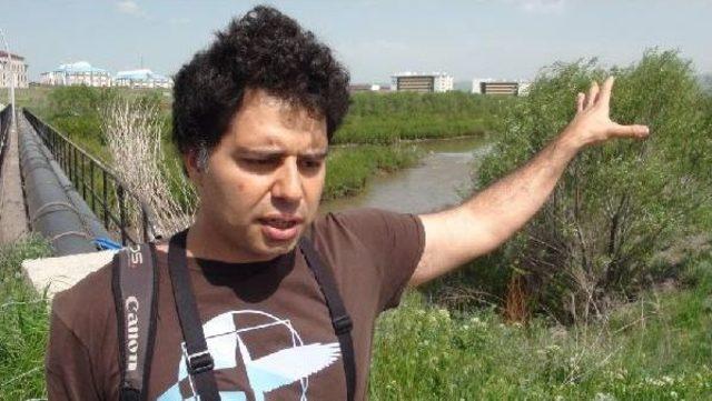 Kafkas Üniversitesi Kampusu 160 Kuş Türüne Ev Sahipliği Yapıyor 1