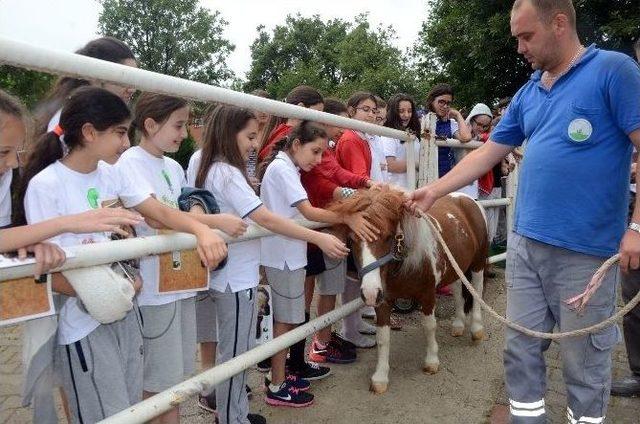 Mamalarını Kapıp Geldiler