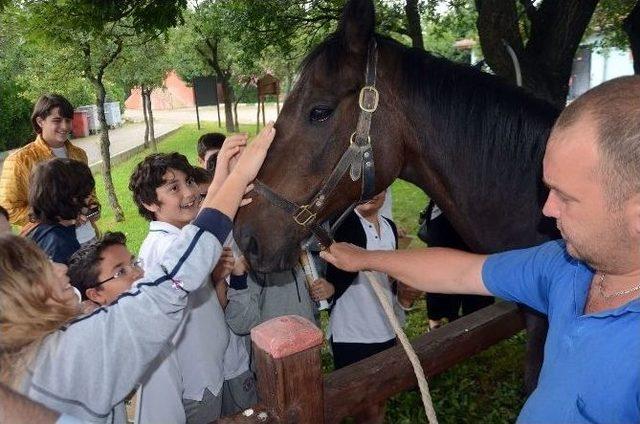 Mamalarını Kapıp Geldiler