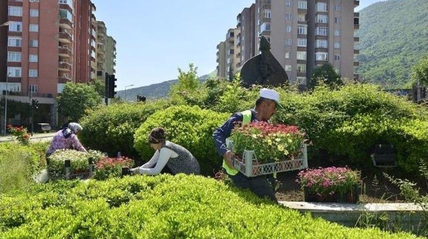 Yıldırım Belediyesi&rsquo;nden Bir Ayda Bin 113 Ağa&ccedil;