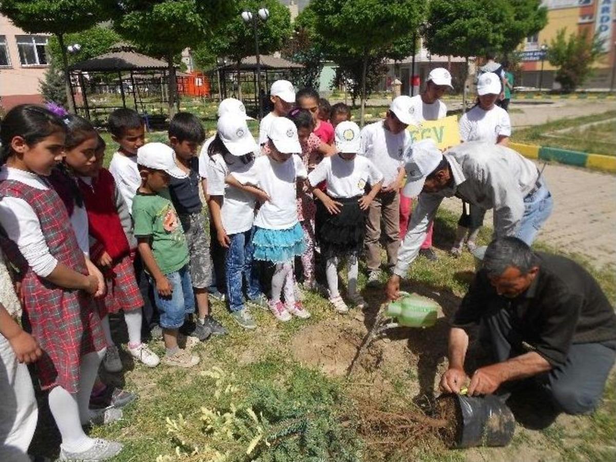 Tegv Muradiye &Ouml;ğrenim Biriminden Fidan Dikme Etkinliği