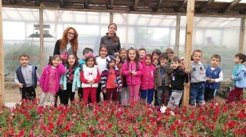 Ke&ccedil;i&ouml;ren&rsquo;de Minik Eller Tohumları Toprakla Buluşturdu