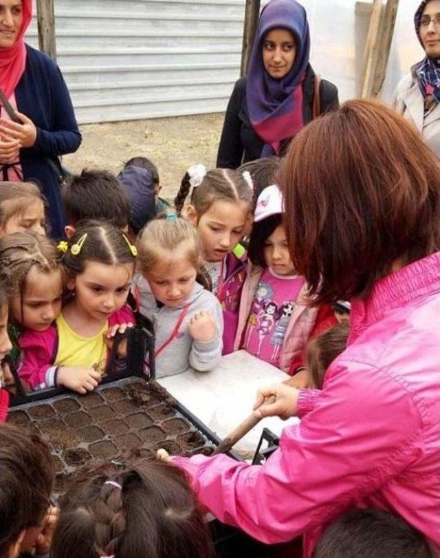 Keçiören’de Minik Eller Tohumları Toprakla Buluşturdu