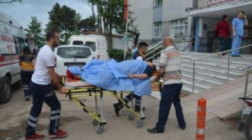 Ağa&ccedil;tan D&uuml;şen Kadın Yaralandı